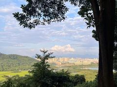 -风云岭森林公园