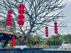 -台山颐和温泉城