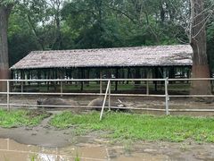 -秦皇岛野生动物园