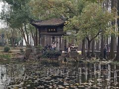 -东湖落雁景区