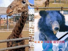 -西安秦岭野生动物园