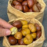 南京超好吃的板栗｜来自秋天的仪式感