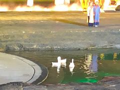 -婺源梦里老家大型山水实景演出