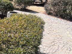 -猎鹰谷实弹射击俱乐部