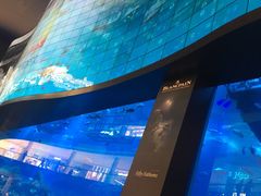 -迪拜水族馆及水下动物园