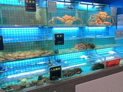 -鸽子侯·家宴·平价海鲜(市图书馆店)