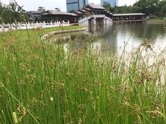 -西海子公园