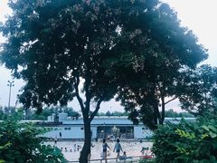-柳浪游泳场