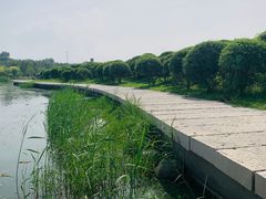 -永定河休闲森林公园