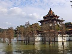 -顺峰山公园