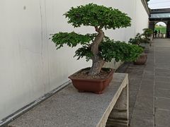 -金庸书院
