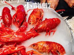 经典冰镇小龙虾-红盔甲·小龙虾(车公庙店)