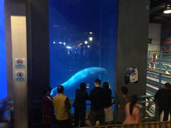 -大连圣亚海洋世界