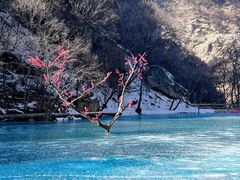 -少华山国家森林公园