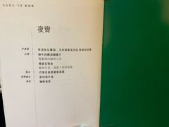 -新加坡航空公司(ION)
