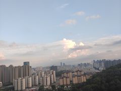 -金鸡山公园