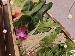 -若爱猪肚鸡·啫啫煲(循礼门M+店)