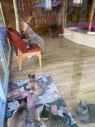 -萌宠亲子动物乐园(槐房万达店)