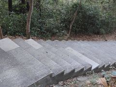 -火炉山森林公园