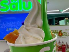 -Salud撒露欧洲冻酸奶(五道口购物中心店)