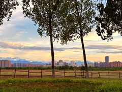 -汉长安城未央宫国家考古遗址公园