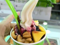 -Salud撒露欧洲冻酸奶(五道口购物中心店)