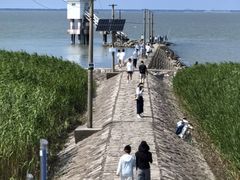 -上海长兴岛郊野公园
