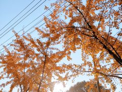 -赭山公园