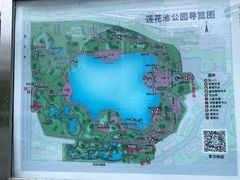 -莲花池公园