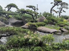 -罗红摄影艺术馆