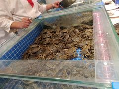 -牛道烤肉海鲜自助