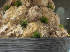 -星伦多自助料理·涮烤一体(江桥万达店)