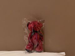 -北京康莱德酒店