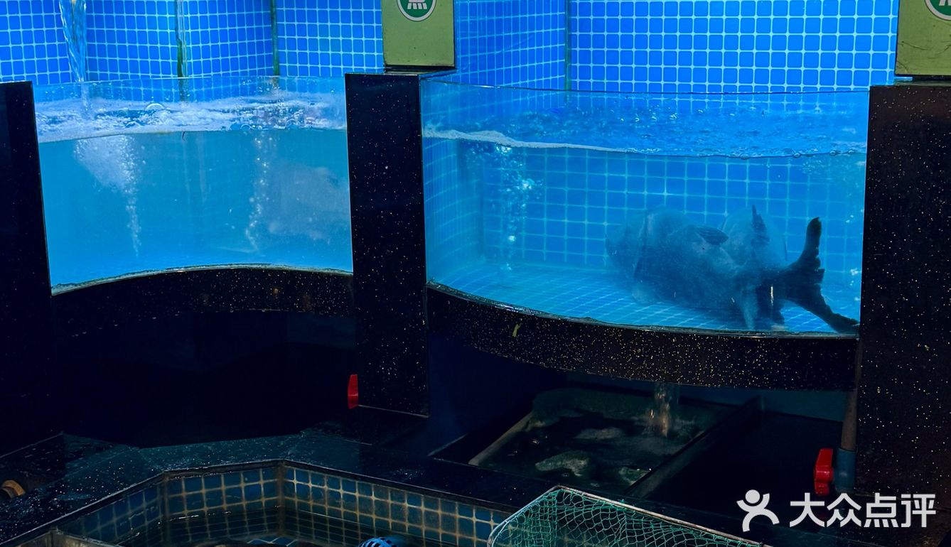 到底是什么鱼 能让我怒炫两碗饭!