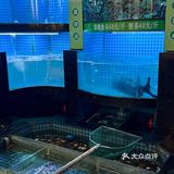 到底是什么鱼 能让我怒炫两碗饭!