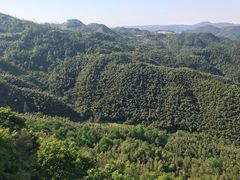 -鹿亭中村