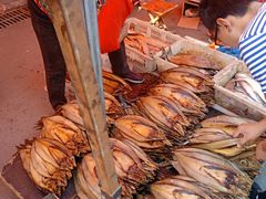 -青岛沙子口国家中心渔港