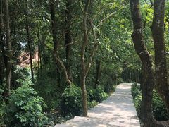 -广州市流溪河国家森林公园