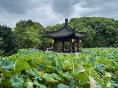 -丝绸小镇荻港古村