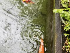-太子园林酒家