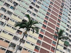 -彩虹村