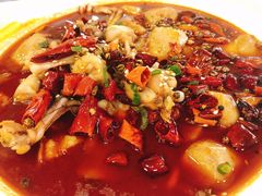 -付掌柜在成都·热炒砂锅集(金禾店)