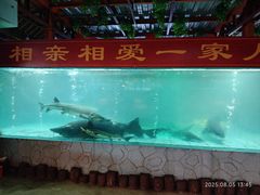 -年辉渔村·非遗传承餐厅(新丰江店)