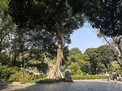 -柳侯公园