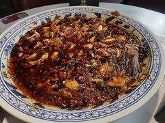 -新概念来凤鱼(璧山店)
