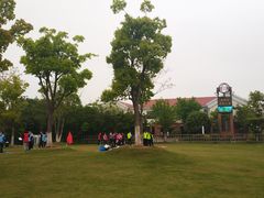 -上海长兴岛郊野公园