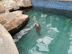 -长春农博园
