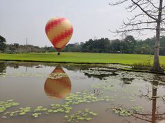 -中国科学院西双版纳热带植物园