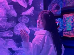 -左海海底世界