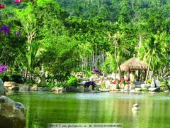 -西涌国际滨海旅游区